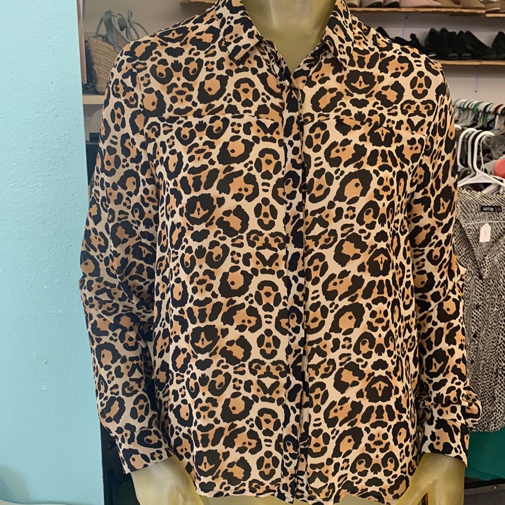 Divided Top